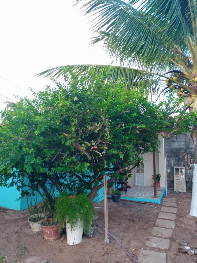 Zen Villas - Chales, Bem-Estar E Conexao Com A Natureza Lauro de Freitas Esterno foto
