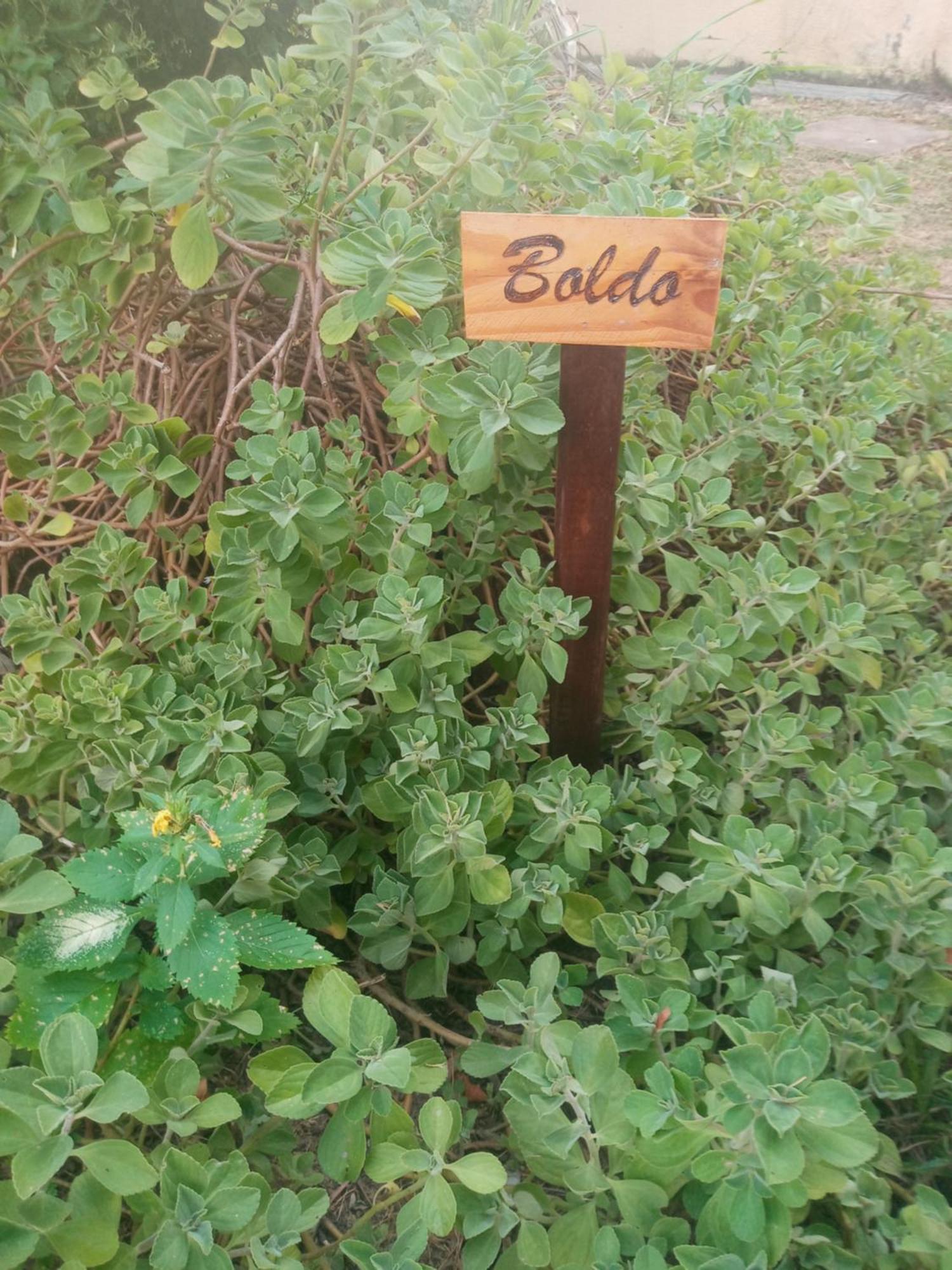 Zen Villas - Chales, Bem-Estar E Conexao Com A Natureza Lauro de Freitas Esterno foto
