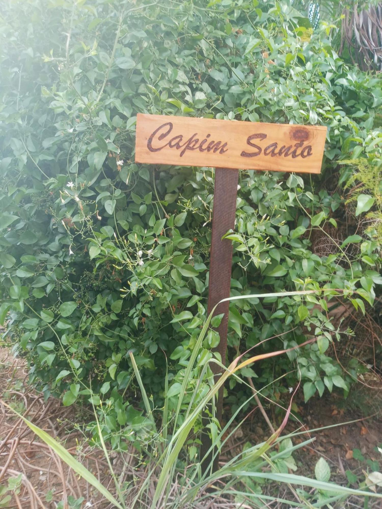 Zen Villas - Chales, Bem-Estar E Conexao Com A Natureza Lauro de Freitas Esterno foto
